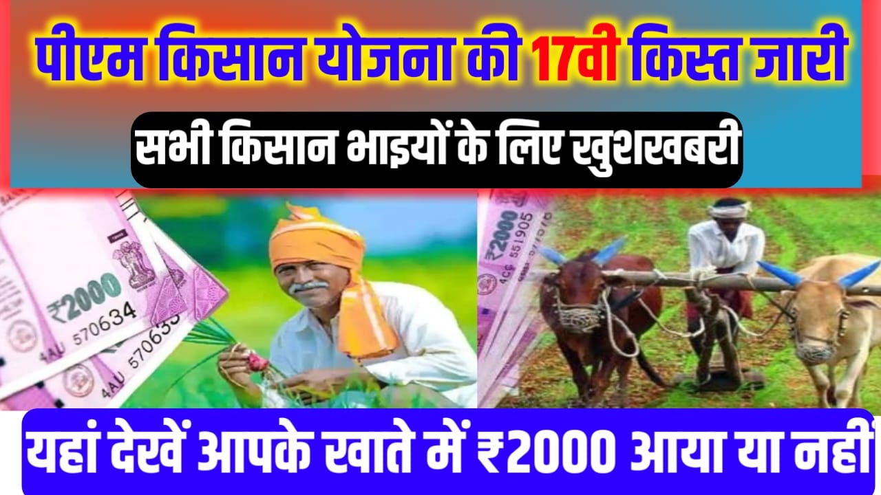 Pm Kisan Yojana 17 kist Mili Ya Nahin Kaise Check Karen