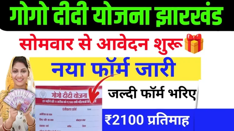 Gogo Didi Yojana Apply Online