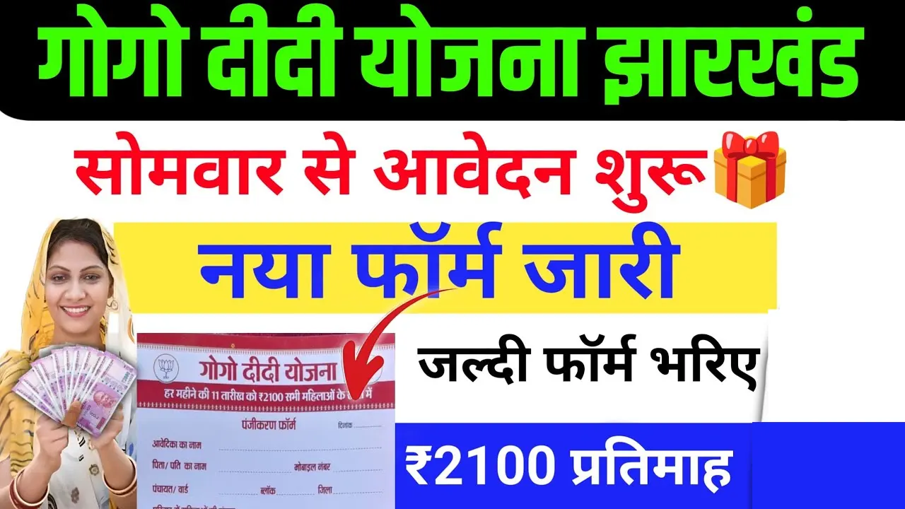 Gogo Didi Yojana Apply Online